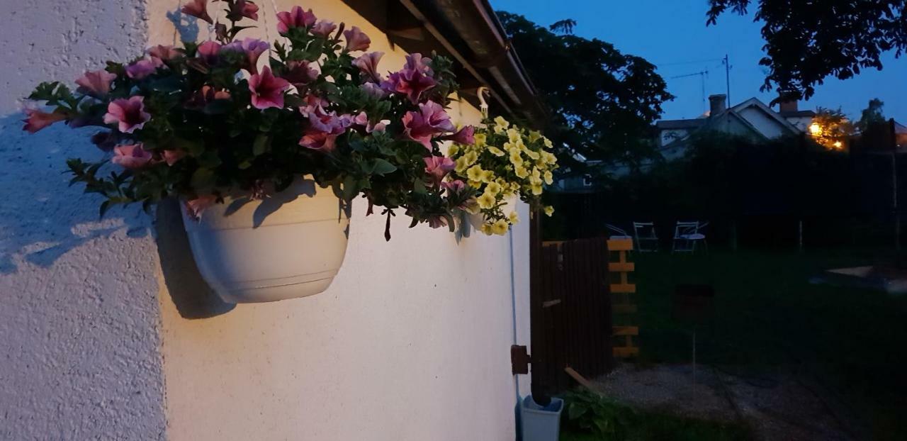 Martin Guest House Ventspils Dış mekan fotoğraf